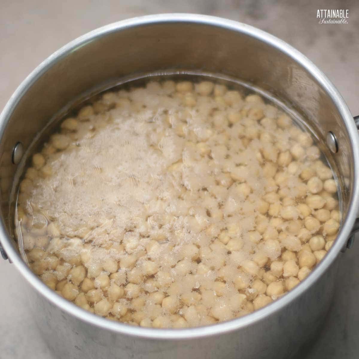 garbanzo beans in a pot of water.