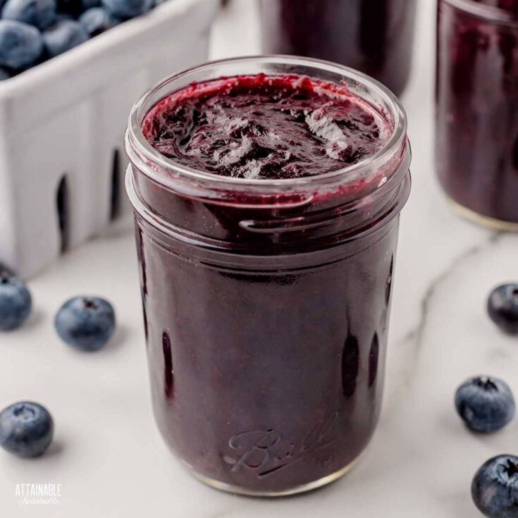 Blueberry Jam Recipe for Canning Attainable Sustainable®