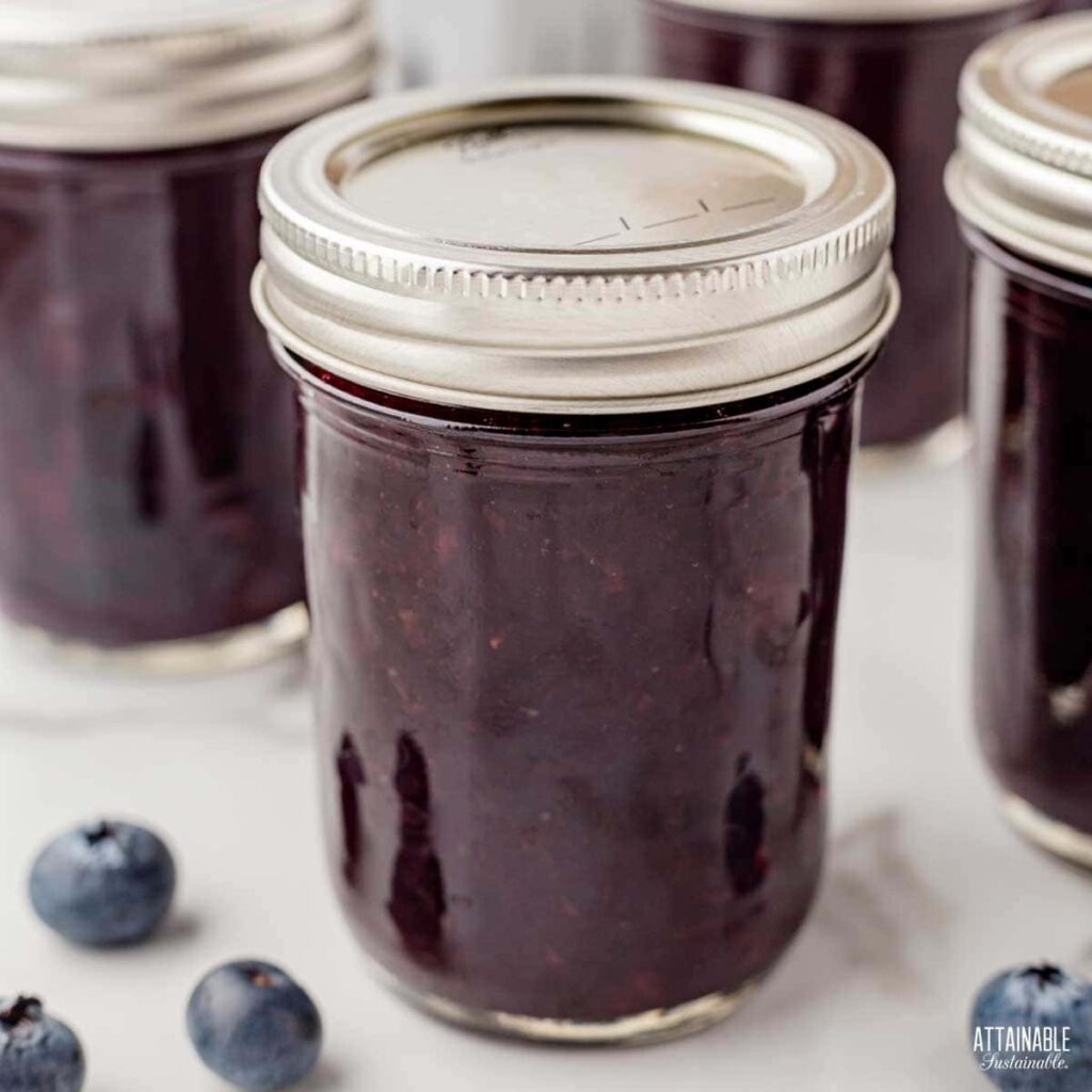 Blueberry Jam Recipe for Canning Attainable Sustainable®