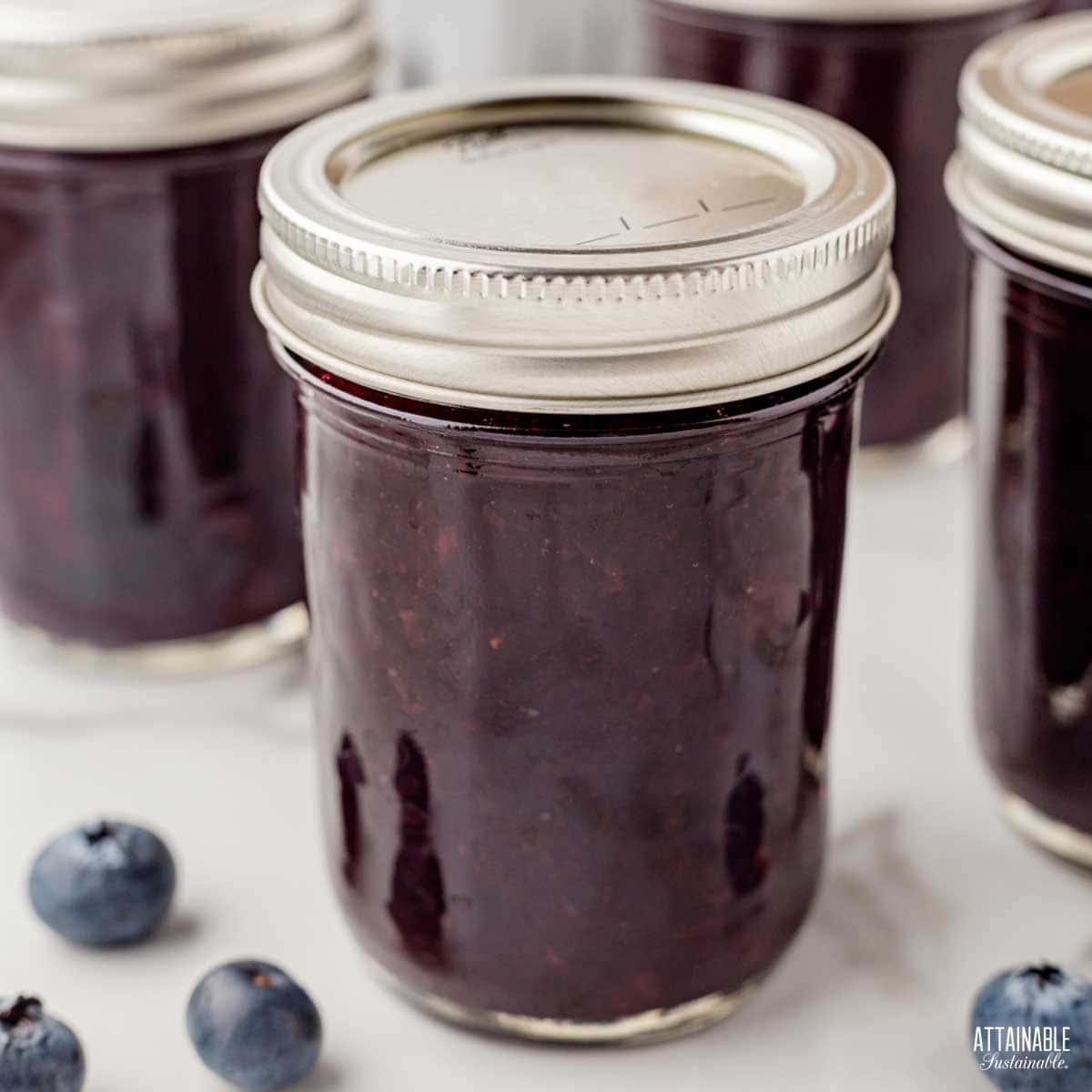 jar of blueberry jam with lid and ring in place.
