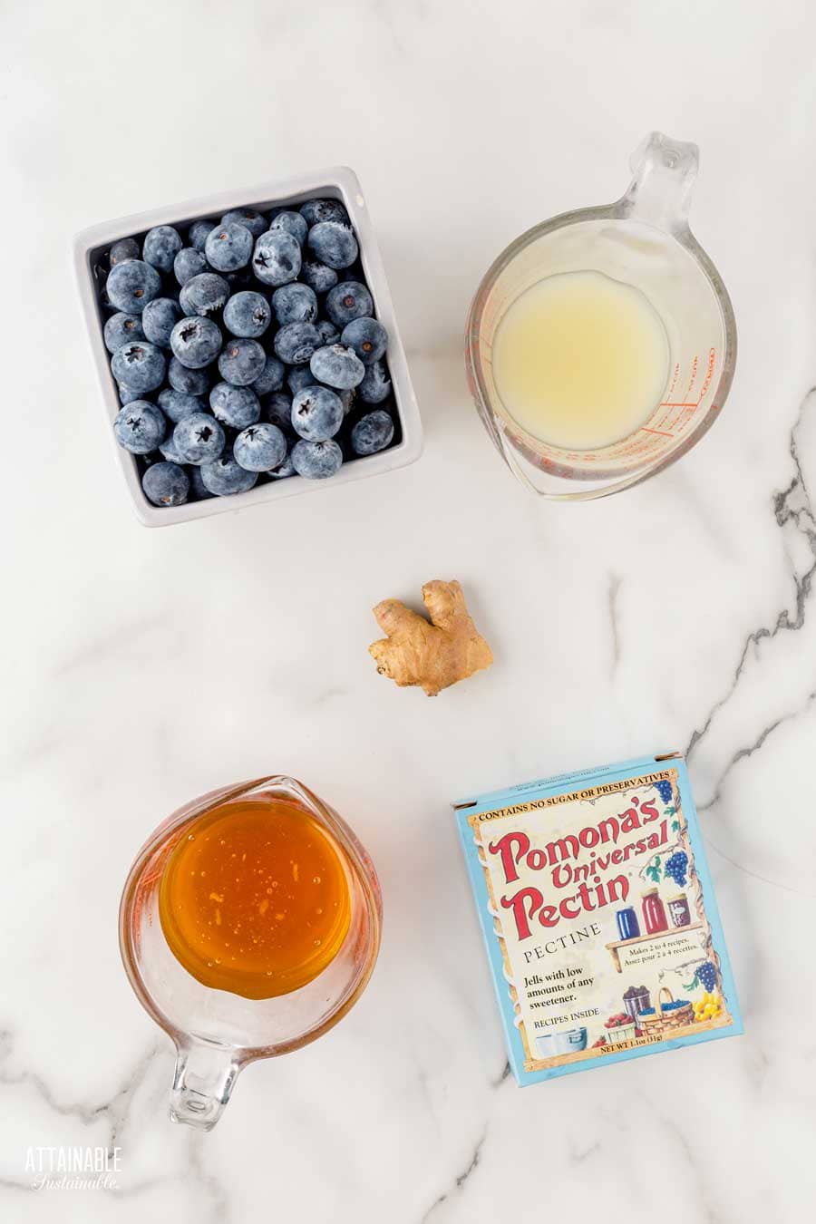 blueberries and ingredients for making jam.