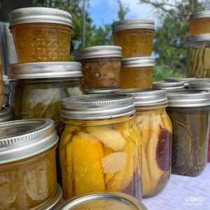 jars of home canned foods.