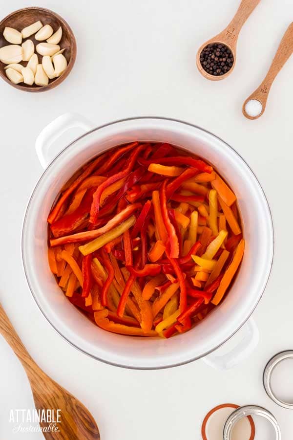 pepper slices in a white stock poto.