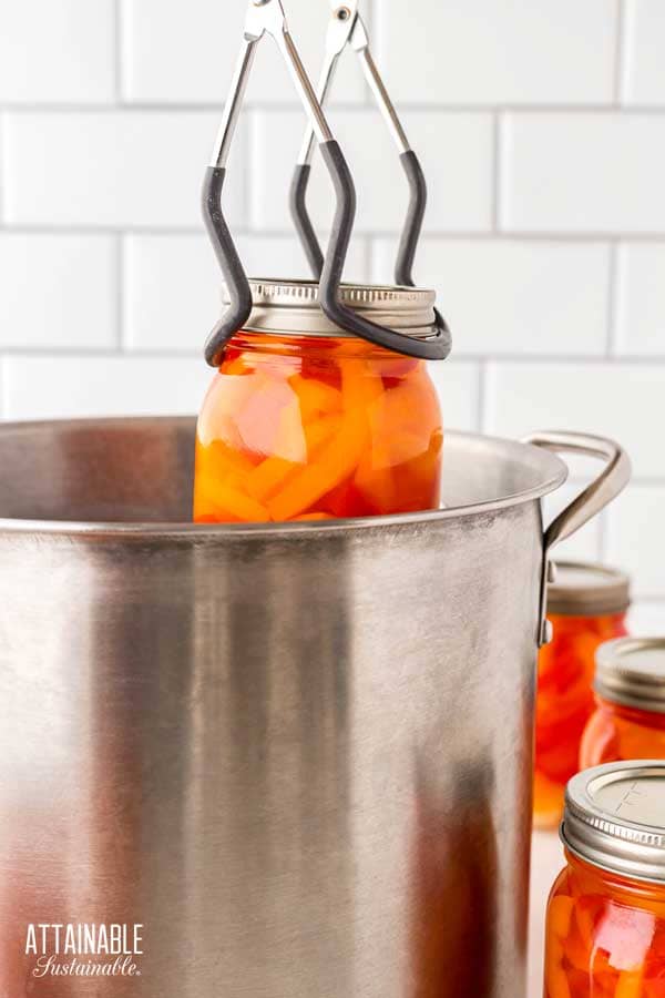 placing a jar of peppers into the canning pot using jar tongs.