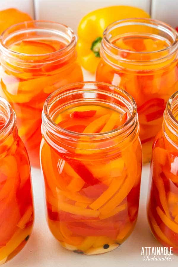 jars of pickled sweet peppers without lids secured.