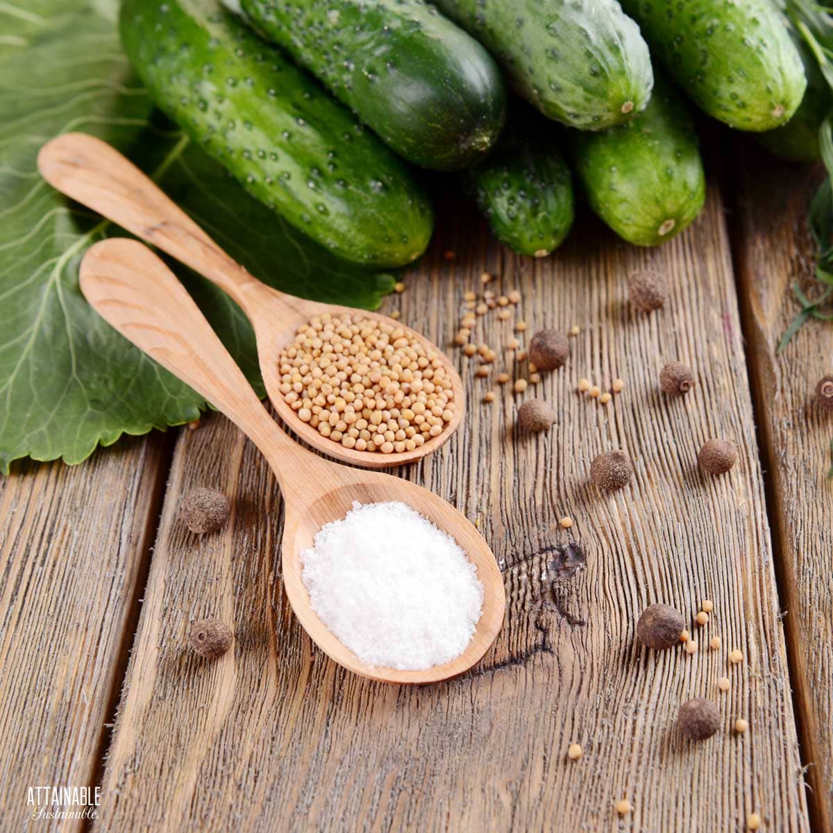 two wooden spoons on a wood table, one with salt, one with mustard seeds. Cucumbers in the background.