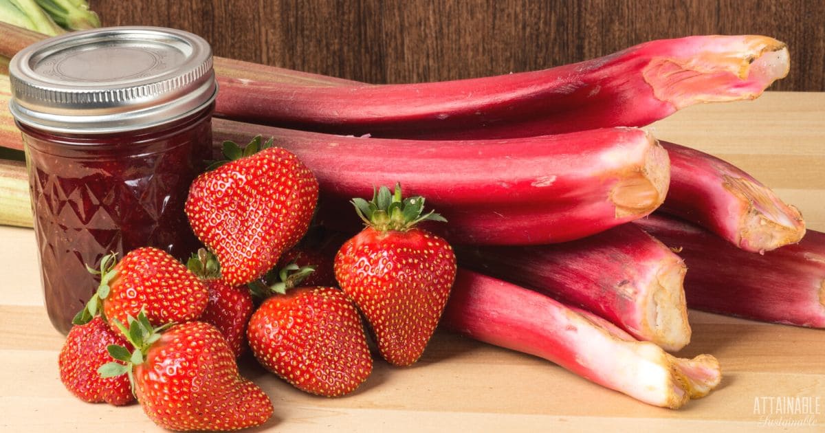 strawberries and rhubarb with a jar of jam.