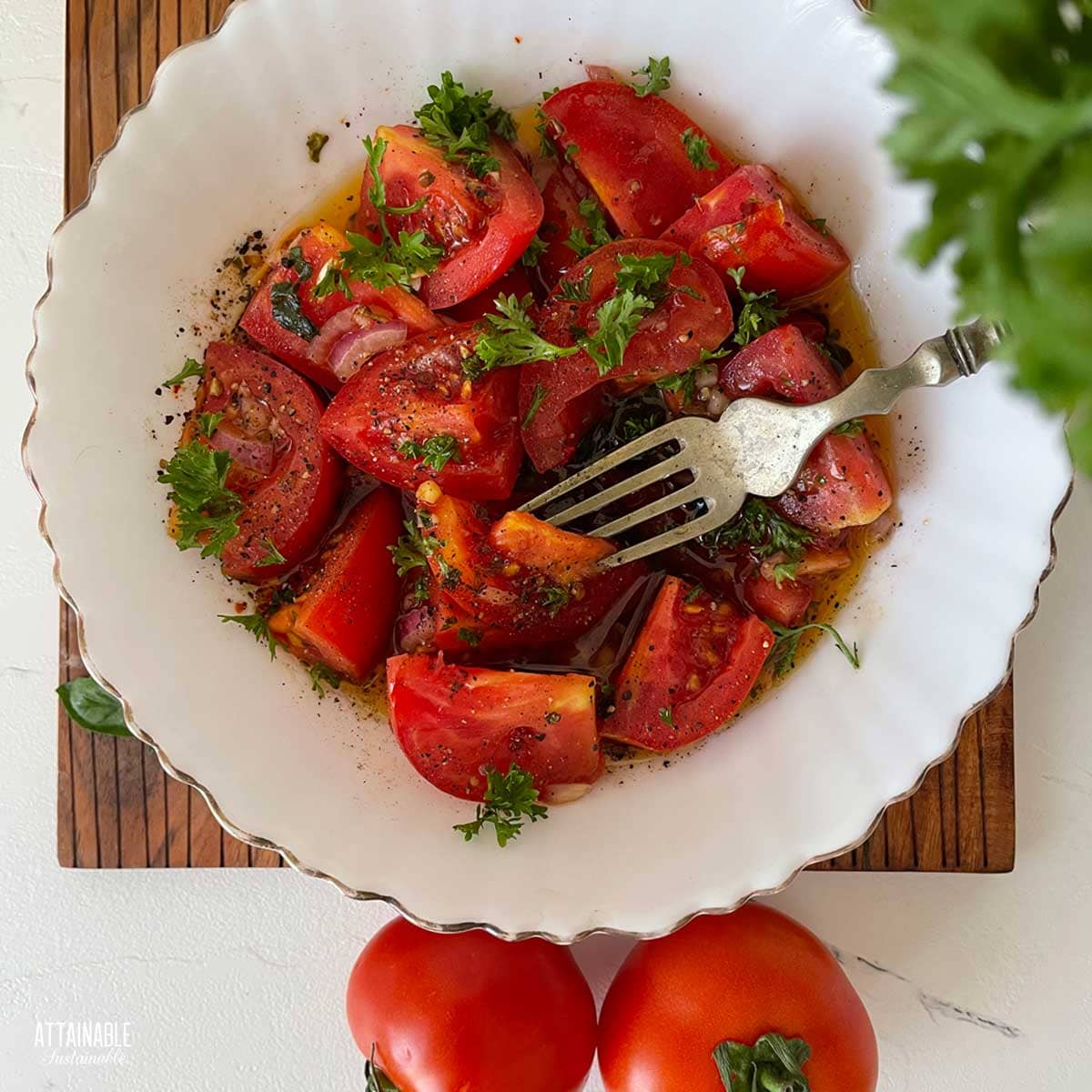 A fancy white bowl with chopped tomato and onion salad with a fork in it, surrounded by whole tomatoes. 