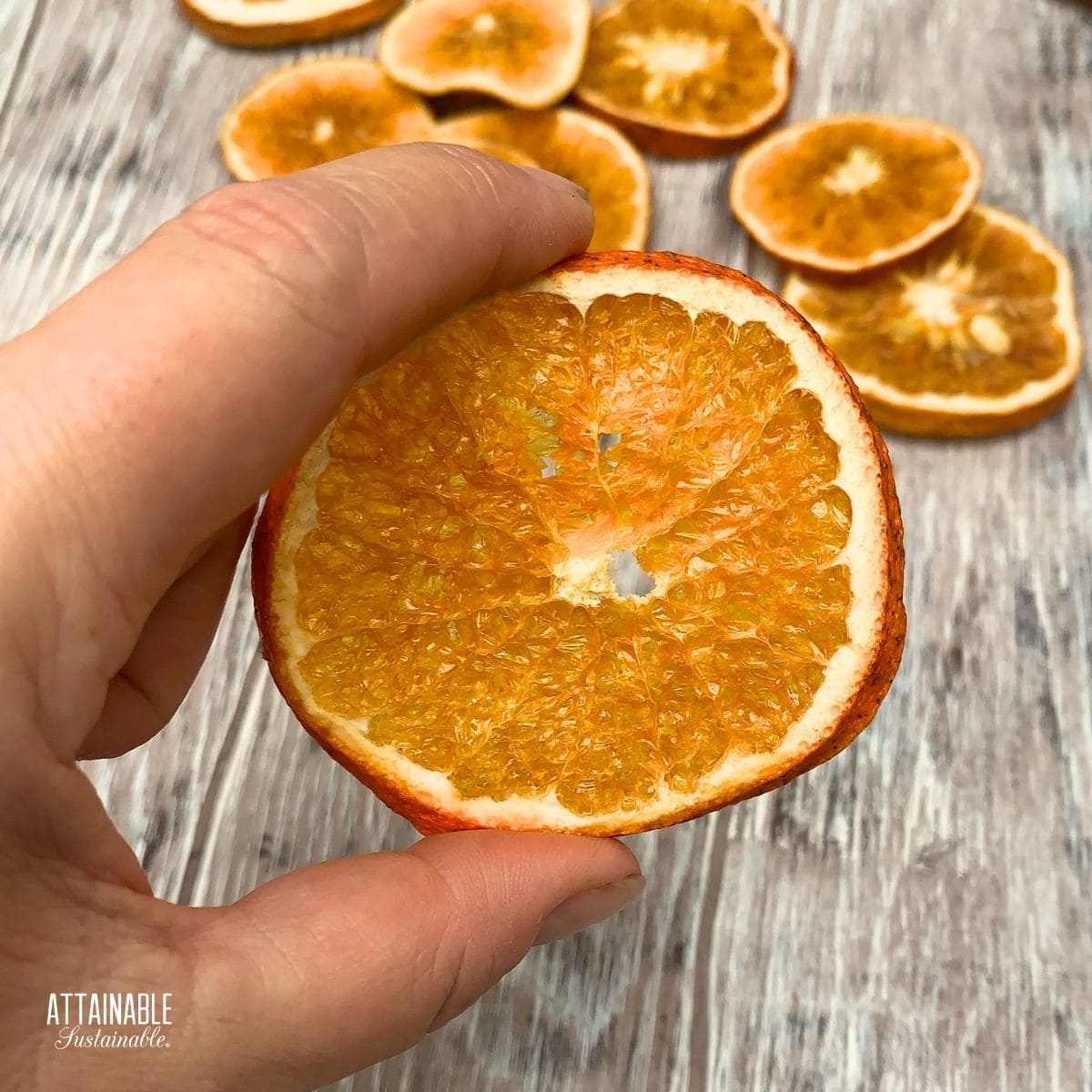 hand holding a dried orange, testing for doneness.