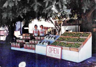 2 young girls at a 1970s era roadside apple stand.