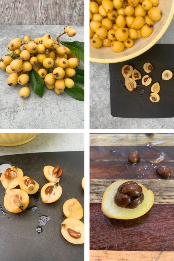 loquat fruit being processed to remove dark brown seeds.