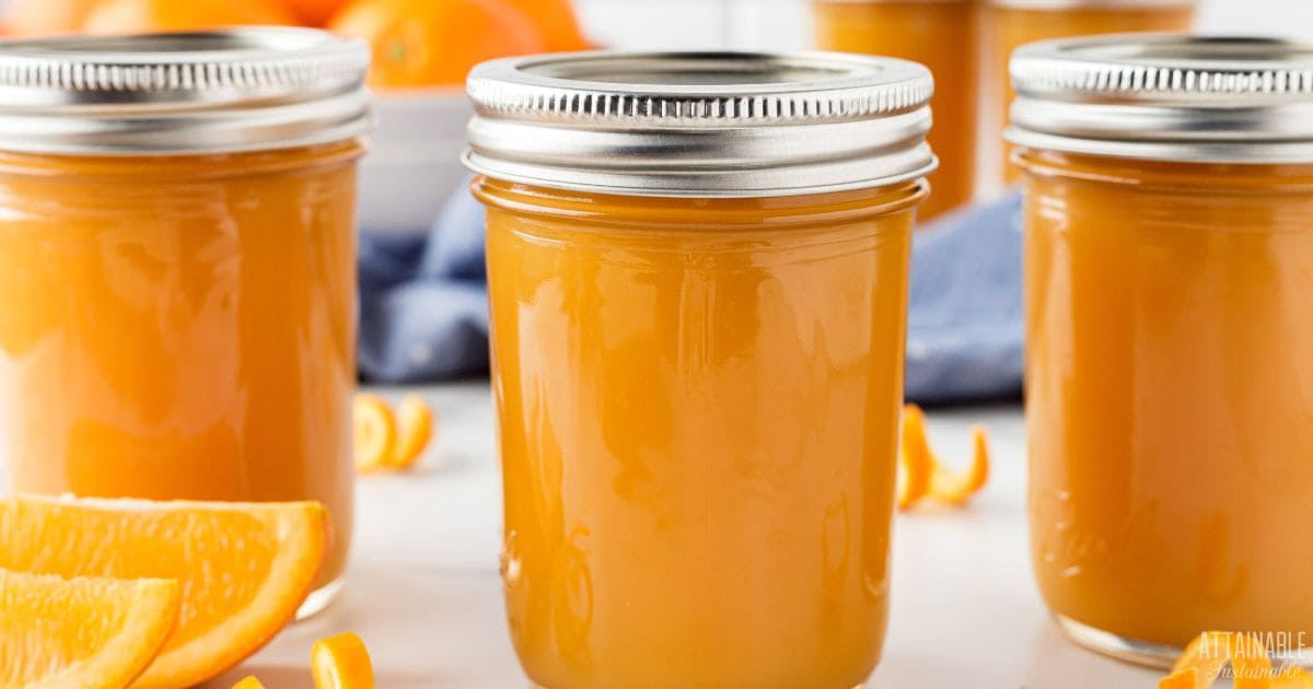 Easy Orange Jelly for Canning Attainable Sustainable®