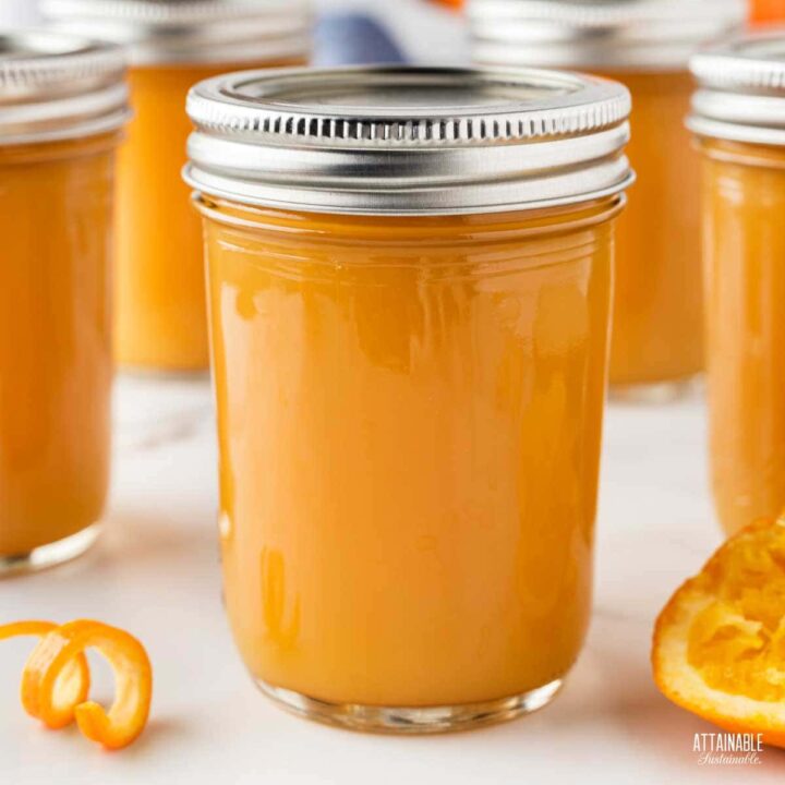 Jars of home canned orange jelly.