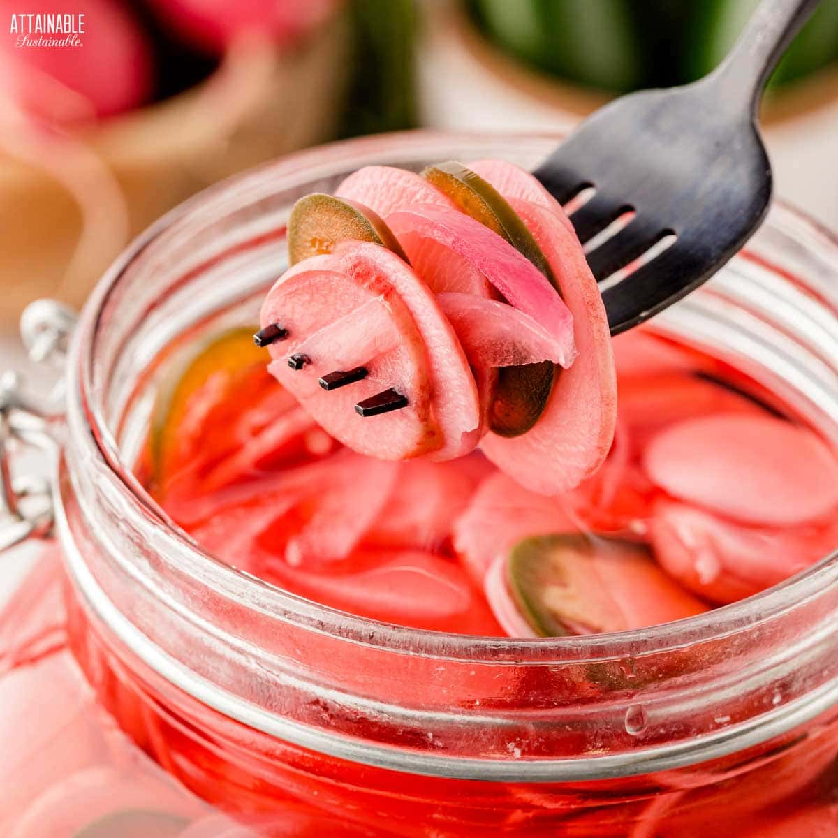 pickled radishes on a fork hovering over a jar full of pink pickled radishes.