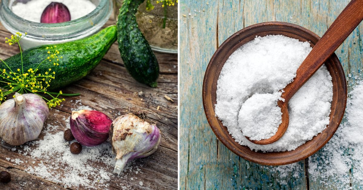 Canning Salt vs. Table Salt for Food Preservation Attainable Sustainable®