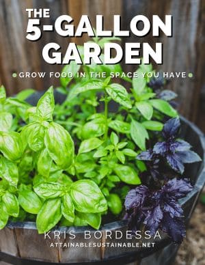 Book cover of The 5 Gallon Garden showing green and purple basil in a garden container.