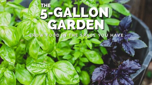 Book cover of The 5 Gallon Garden showing green and purple basil in a garden container.