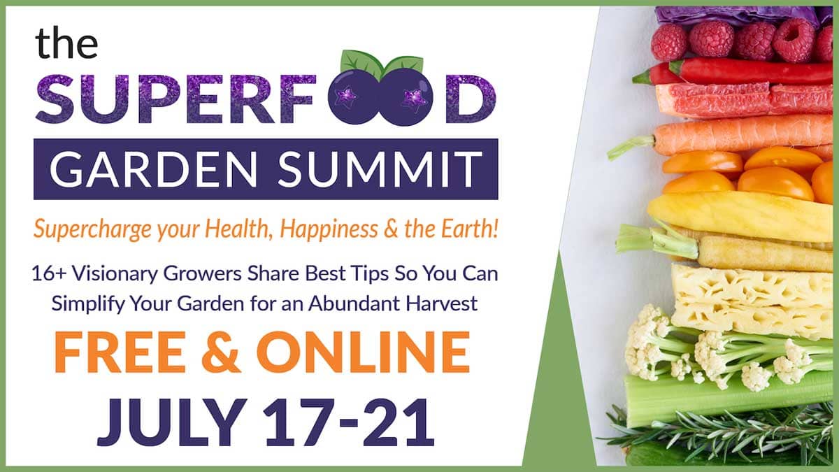 rainbow of fresh produce on right, with words about superfood garden summit on left.