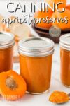 jars of canned apricot preserves.