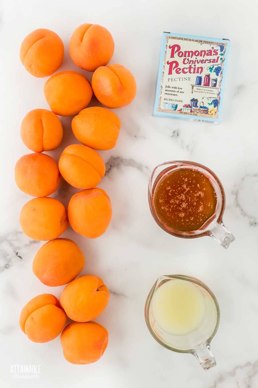 ingredients for apricot preserves: apricots, pomona pectin, honey, lemon juice.