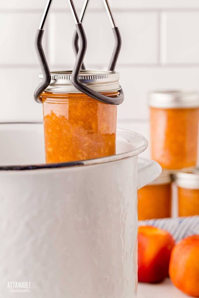 Homemade Nectarine Jam Recipe Attainable Sustainable®