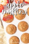 baked muffins in a muffin tin from above.