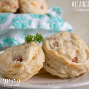 leftover ham and cheese biscuits on a white plate (2) with a basket of biscuits behind.