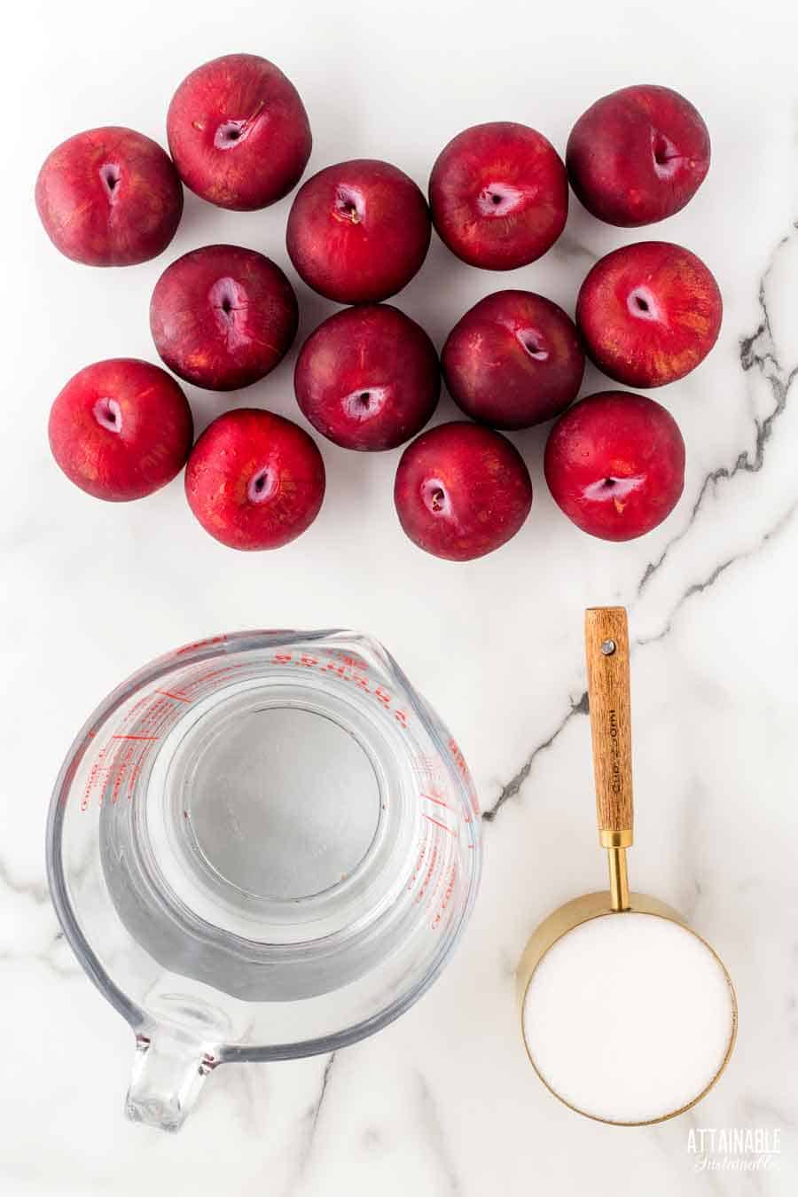 bright red plums with a measuring cup of sugar and another of water, from above.