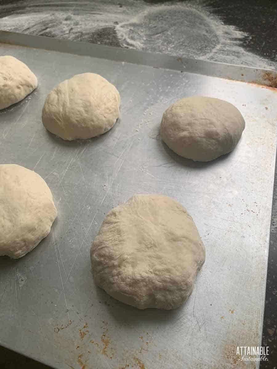 potato bun dough before 2nd rise.
