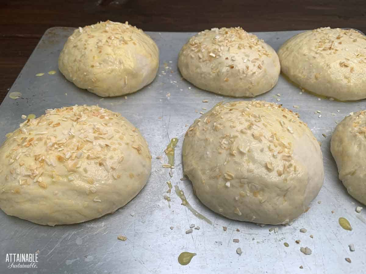 uncooked buns with the egg wash and dried onions.