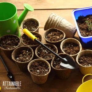 peat pots and recycled containers for planting seedlings