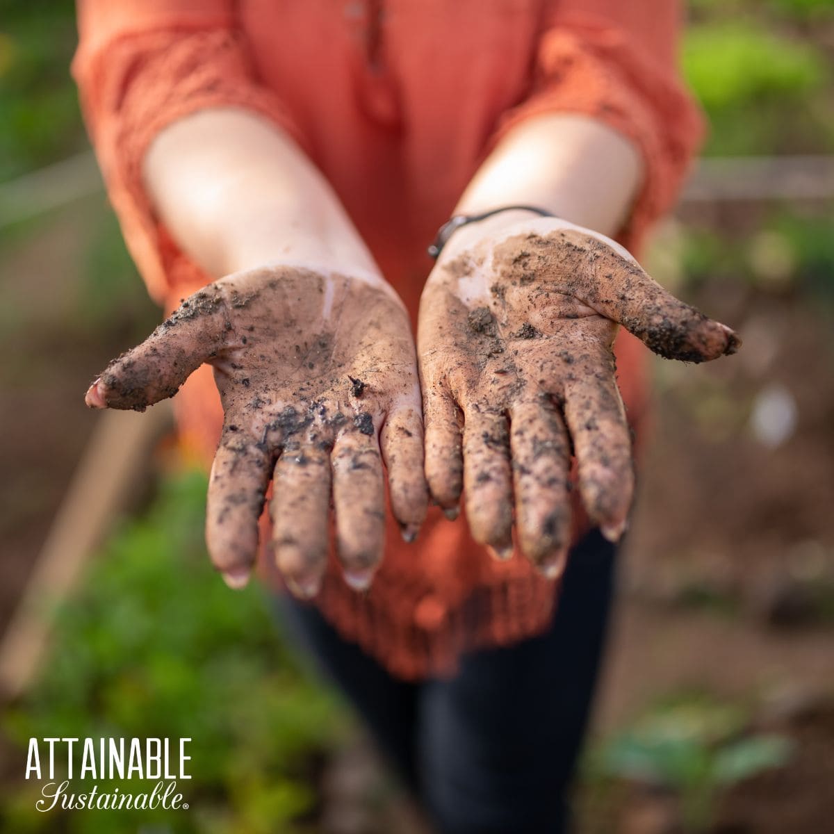 female hands covered with dirt.