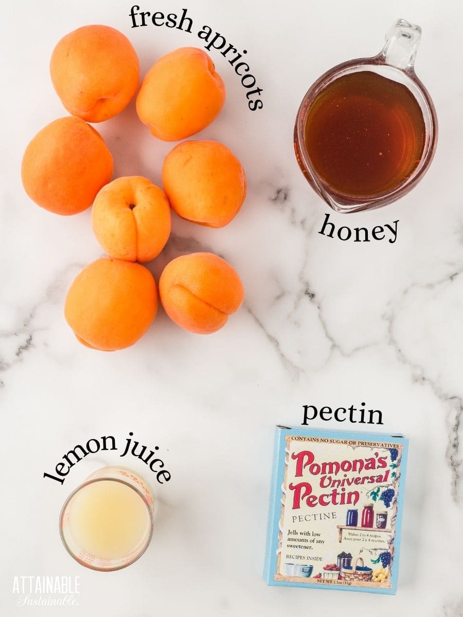 ingredients for apricot jam on a marble backdrop - fresh apricots, honey, lemon juice, pectin.