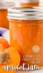 jar of apricot jam with a half apricot next to it.