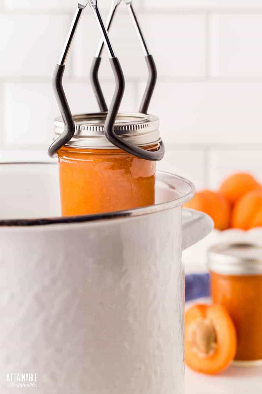 jar of jam being lifted with jar tongs.