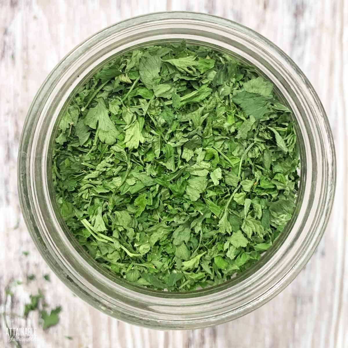 DRIED PARSLEY in a jar from above.