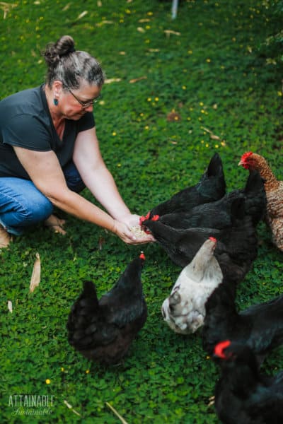 Kris Bordessa feeding a flock of chickens.