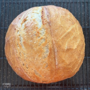 sourdough boule bread